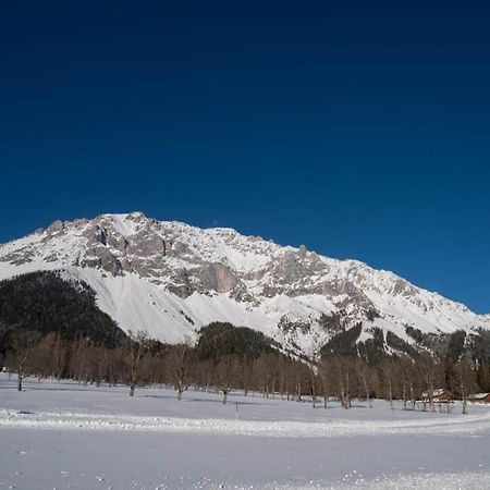 Adlernest Apartment Ramsau am Dachstein Exterior foto