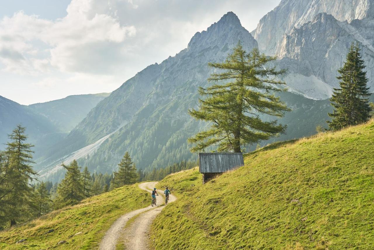 Adlernest Apartment Ramsau am Dachstein Exterior foto