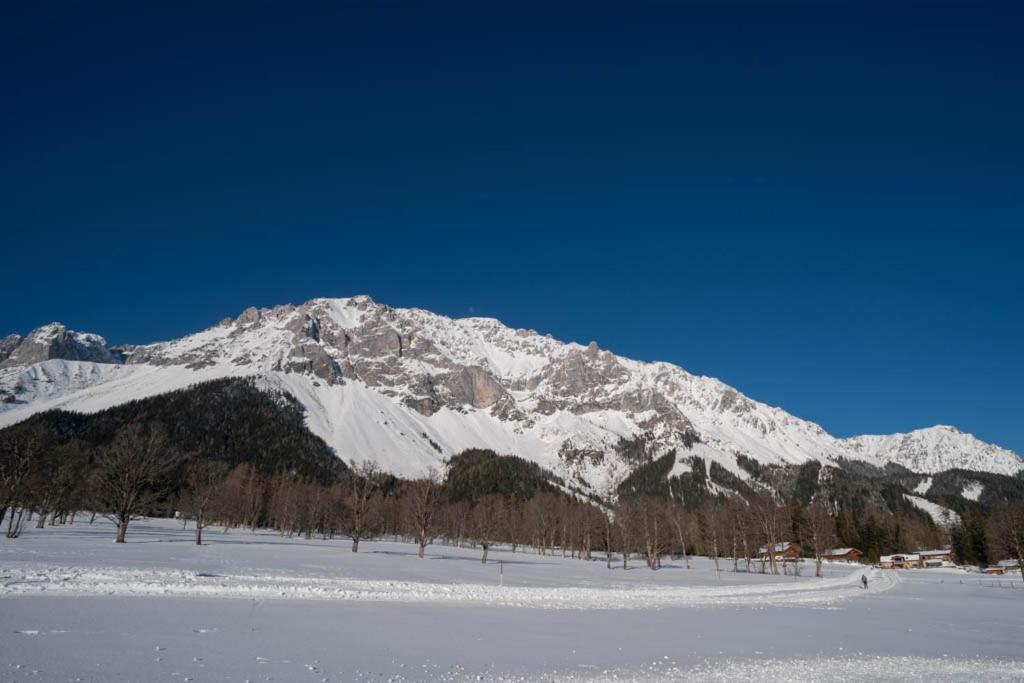 Adlernest Apartment Ramsau am Dachstein Exterior foto